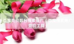 百度竞价后台搜索推广（百度搜索推广竞价工具）