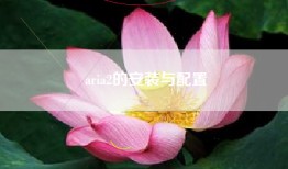 aria2的安装与配置