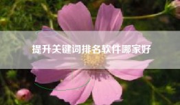 提升关键词排名软件哪家好