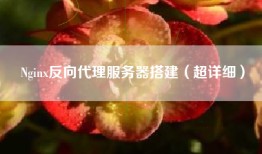 Nginx反向代理服务器搭建（超详细）
