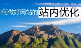 SEO优化的五大技巧（提高网站排名的秘诀）