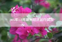 2025年1-2月潮州经济运行简况