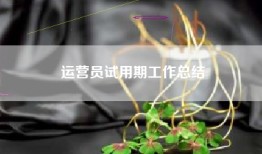 运营员试用期工作总结
