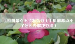 手机屏幕点不了怎么办（手机屏幕点不了怎么办解决办法）