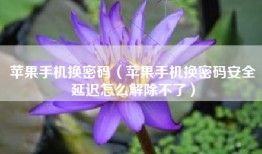 苹果手机换密码（苹果手机换密码安全延迟怎么解除不了）