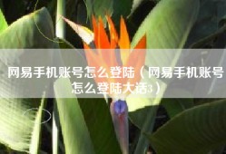网易手机账号怎么登陆（网易手机账号怎么登陆大话3）