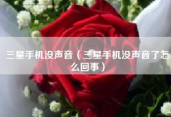 三星手机没声音（三星手机没声音了怎么回事）