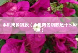 手机防偷窥膜（手机防偷窥膜是什么原理）