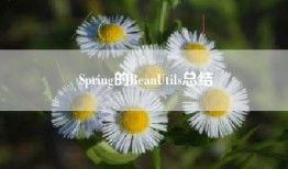 Spring的BeanUtils总结