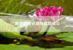 保定数据资源仲裁院成立