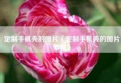 定制手机壳的图片（定制手机壳的图片素材）