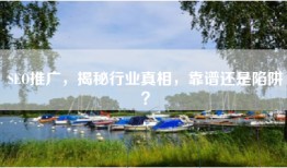 SEO推广，揭秘行业真相，靠谱还是陷阱？