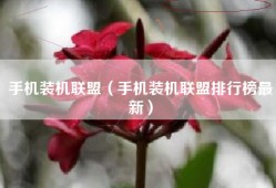 手机装机联盟（手机装机联盟排行榜最新）