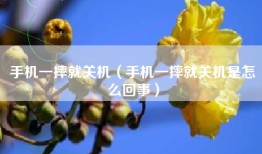 手机一摔就关机（手机一摔就关机是怎么回事）