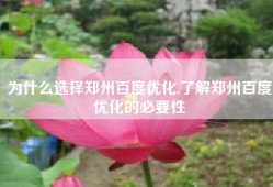 为什么选择郑州百度优化,了解郑州百度优化的必要性