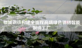 鄂城钢铁构建全流程高端绿色钢材智能制造工厂
