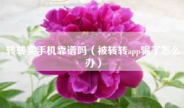 转转买手机靠谱吗（被转转app骗了怎么办）
