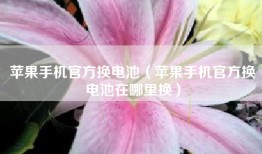 苹果手机官方换电池（苹果手机官方换电池在哪里换）