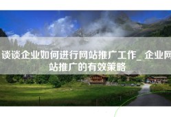 谈谈企业如何进行网站推广工作_ 企业网站推广的有效策略