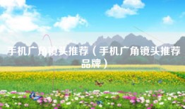 手机广角镜头推荐（手机广角镜头推荐品牌）