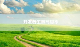开发者工具写脚本