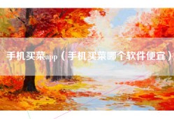 手机买菜app（手机买菜哪个软件便宜）