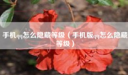 手机qq怎么隐藏等级（手机版qq怎么隐藏等级）