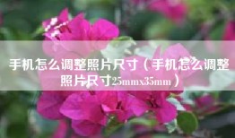 手机怎么调整照片尺寸（手机怎么调整照片尺寸25mmx35mm）