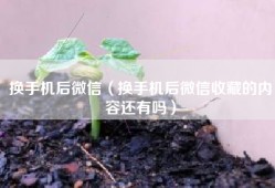 换手机后微信（换手机后微信收藏的内容还有吗）