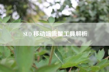 SEO 移动端流量工具解析