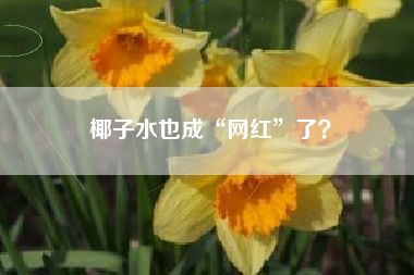 椰子水也成“网红”了? 椰子水也成“网红”了?