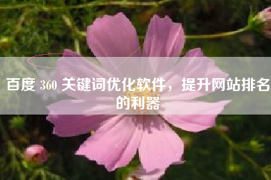 百度 360 关键词优化软件，提升网站排名的利器