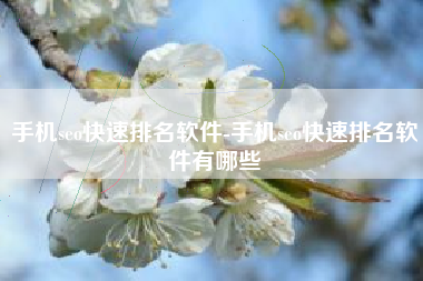 手机seo快速排名软件-手机seo快速排名软件有哪些