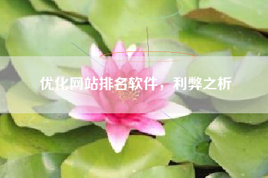 优化网站排名软件，利弊之析