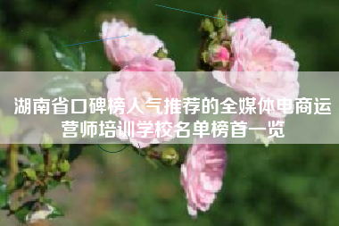 湖南省口碑榜人气推荐的全媒体电商运营师培训学校名单榜首一览