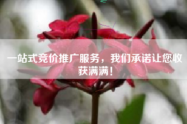 一站式竞价推广服务，我们承诺让您收获满满！