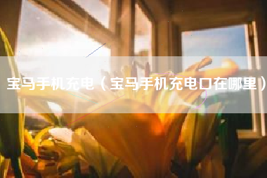 宝马手机充电（宝马手机充电口在哪里）