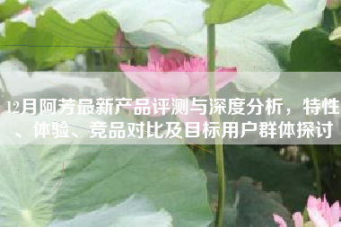 12月阿芳最新产品评测与深度分析，特性、体验、竞品对比及目标用户群体探讨