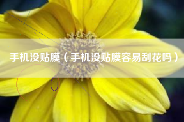 手机没贴膜（手机没贴膜容易刮花吗）
