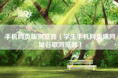 手机网页版浏览器（学生手机网页端网址谷歌浏览器）
