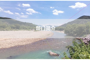 部门简介