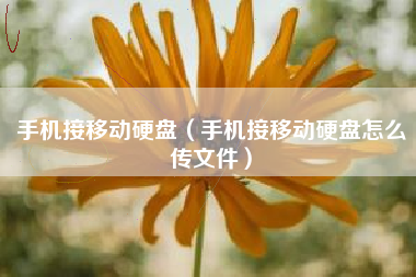 手机接移动硬盘（手机接移动硬盘怎么传文件）