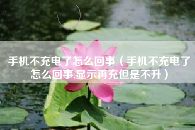 手机不充电了怎么回事（手机不充电了怎么回事,显示再充但是不升）