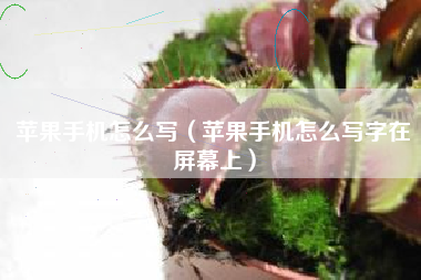苹果手机怎么写（苹果手机怎么写字在屏幕上）