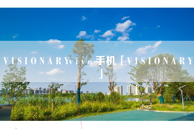 V I S I O N A R Yv i v o 手机「V I S I O N A R Y」 V I S I O N A R Yv i v o 手机「V I S I O N A R Y」