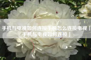手机与电视如何连接手机怎么连接电视「手机与电视如何连接」