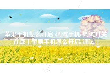 苹果手机怎么开启u调试手机u调试开关在哪「苹果手机怎么开启u调试」
