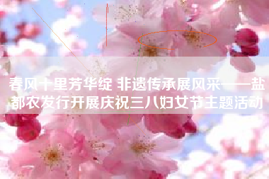 春风十里芳华绽 非遗传承展风采——盐都农发行开展庆祝三八妇女节主题活动