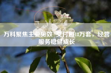 万科聚焦主业见效  交付超18万套，经营服务稳健成长
